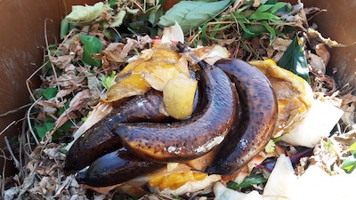Symbol Abfall Bananen Biotonne