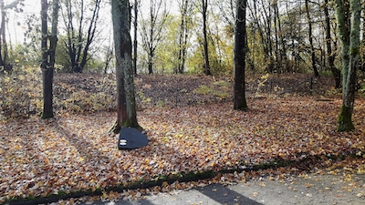 Symbol Friedhof Urnengrab Baumgrab