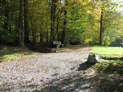 Symbol Natur Wald Bank Lichtung HerbstSommer