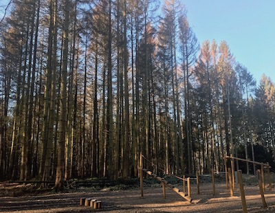 Ort Montabaur Fitnesspark Wald