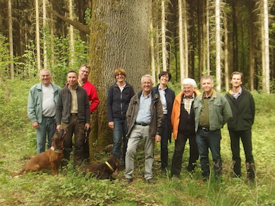 20180507 Waldbegang Gelbachhohen