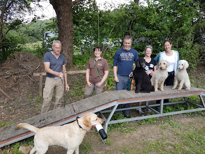 20180711 Parcour Training Hunde