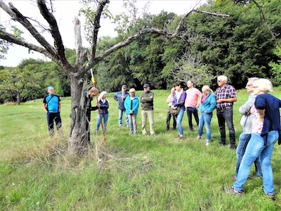 20190911 Westerwald Verein Streuobst