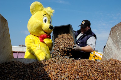 20190930 HARIBO Goldbar Kastanienaktion