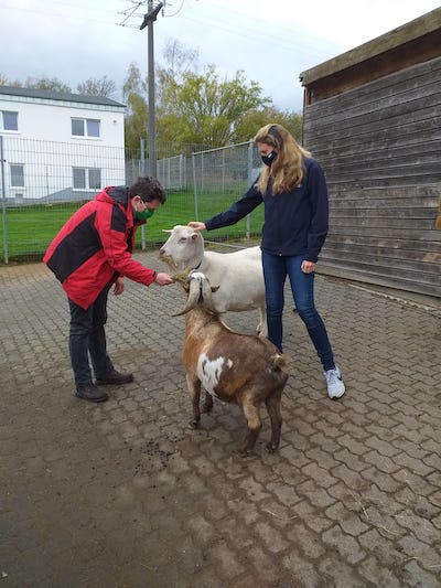 20201111 BachTierheim