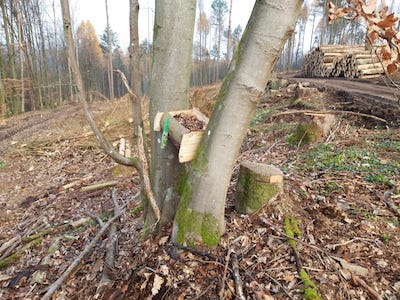 20201203 FutterWaldCaan