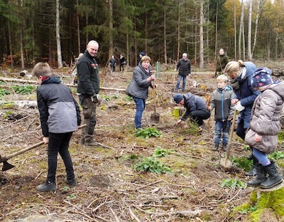 20201203 HohrWald