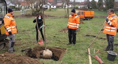 20201214 StreuobstWirges