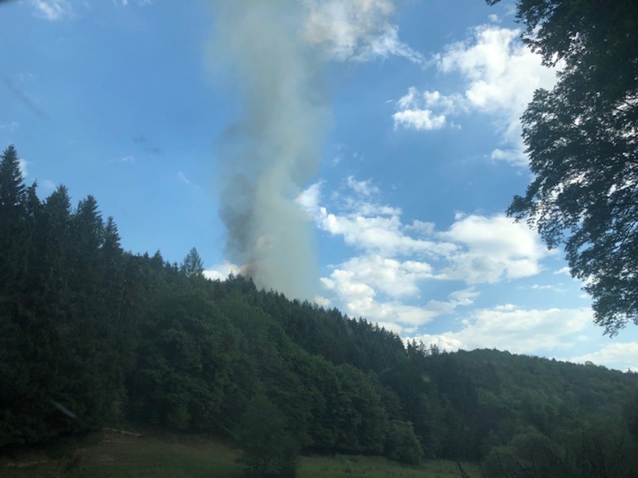 Feuer Waldbrand Sommer