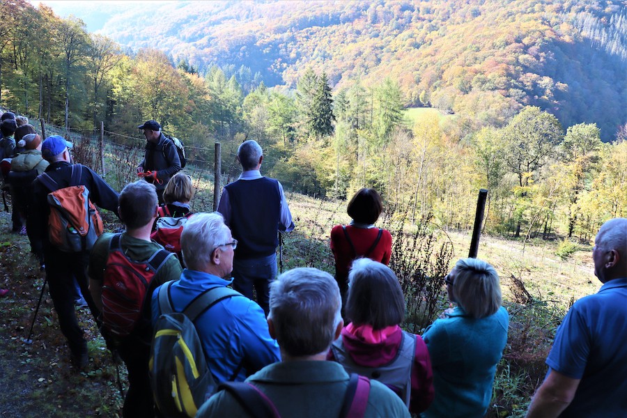 Freizeit Wandergruppe Wald
