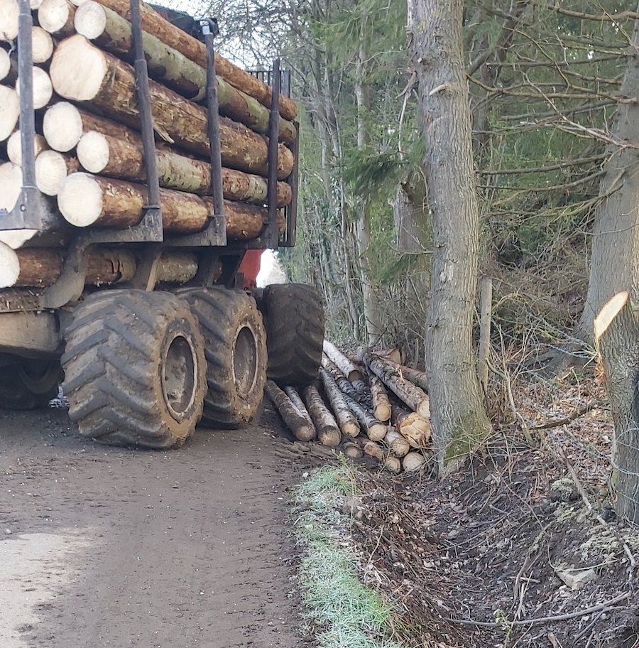 Natur Holz Waldweg