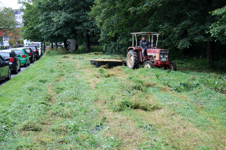 Natur Rasenschnitt Traktor