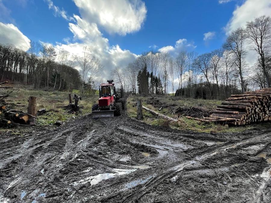 Natur Waldschaden Forstarbeiten