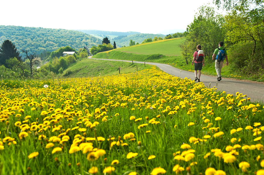 Natur Wanderweg Sommer