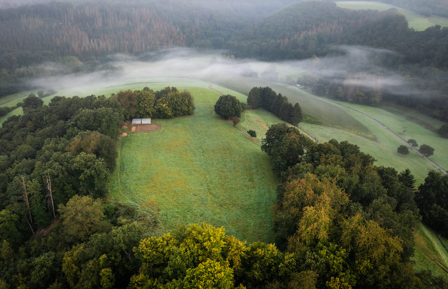 Ort Wald Wiese Nebel Panorama