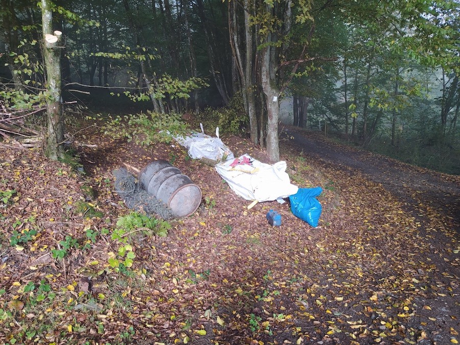 Umwelt Mull Wald Fass