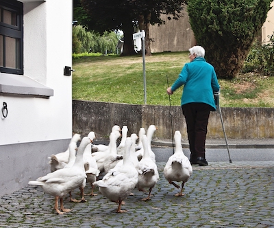 Symbol Frau Gaense Altersarmut