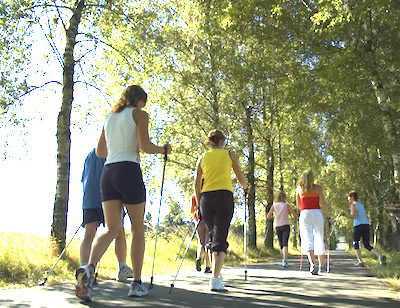 Symbol Laufgruppe Wald Sommer