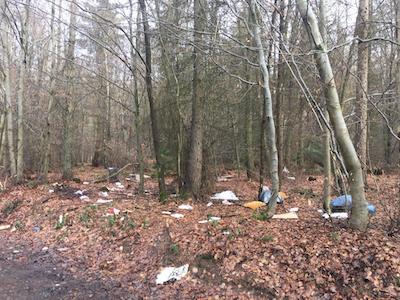 Symbol Natur Mull Wald