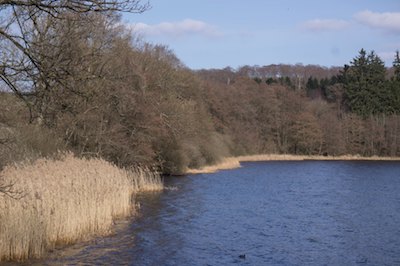 Symbol Natur Wasser See