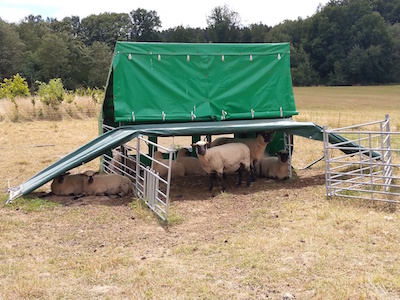 Symbol Schafe im Unterstand auf Weide