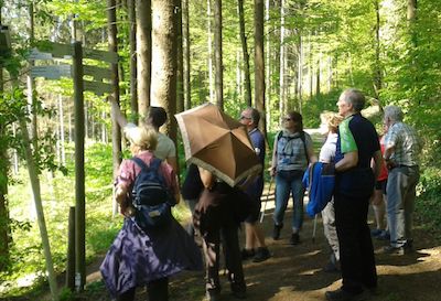 Symbol Wandern Wald Gruppe