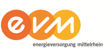 Logo EVM